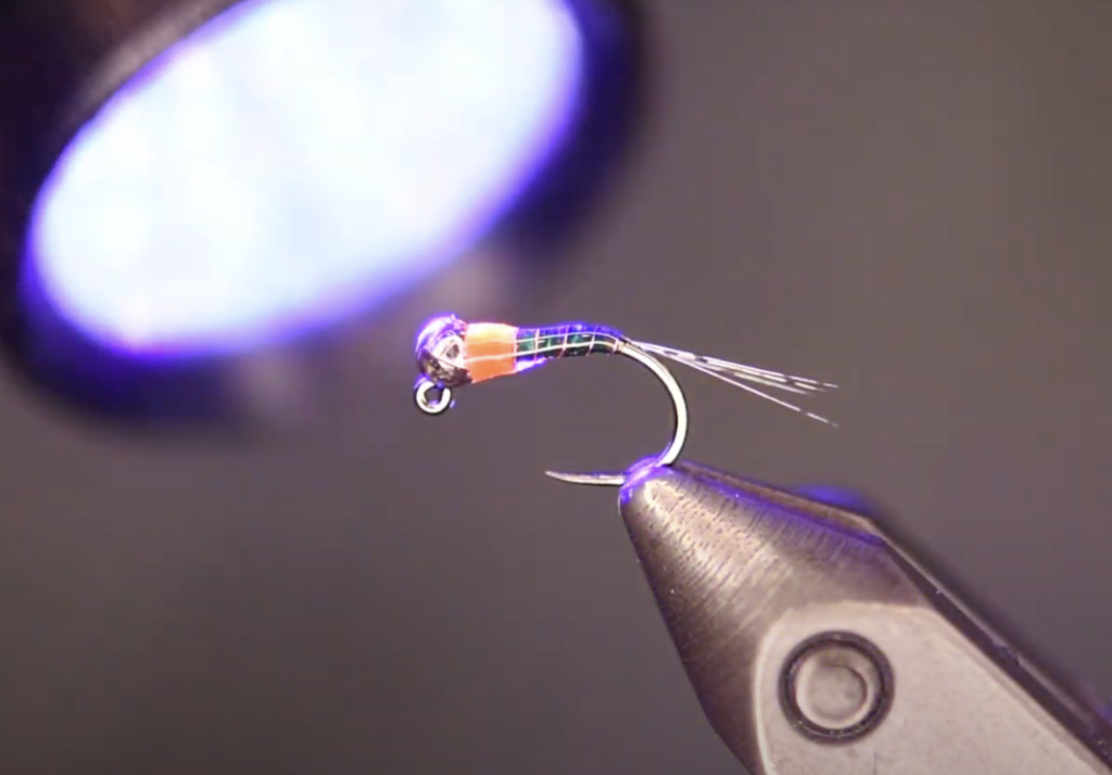 perdigon fly tying